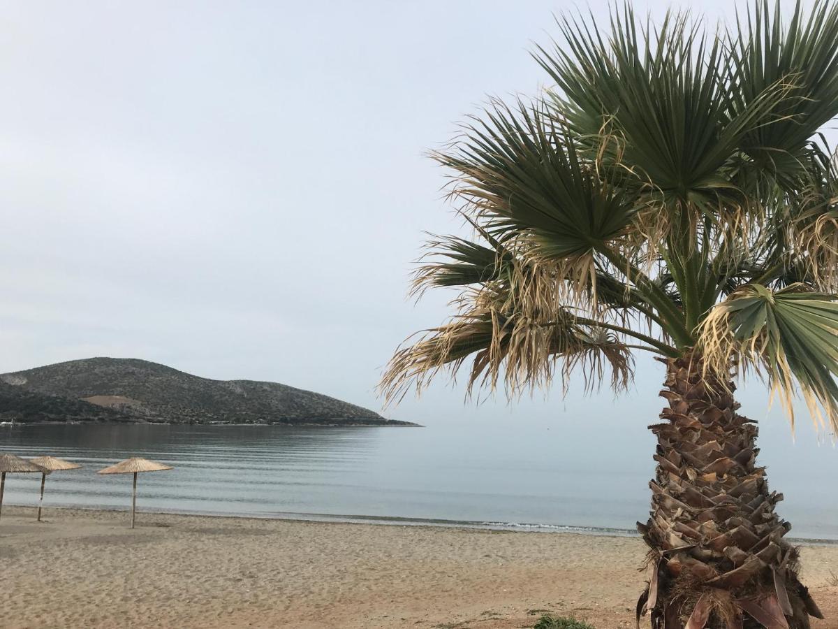 Cosy Studio 2 Minutes Walking From The Beach Anavyssos Buitenkant foto